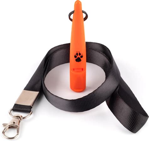Training Puppies For Dummies 2