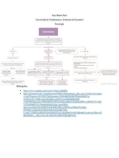 Feminismo Mapa Conceptual Pdf