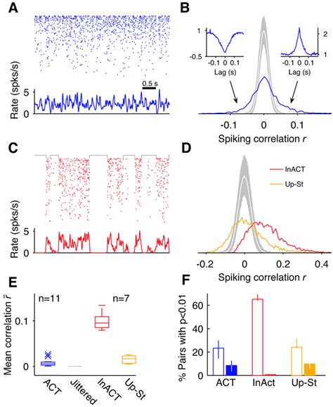 Distribution Of Correlations In The Rat Neocortex In Vivo A Raster