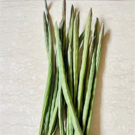 Tamil Nadu A Grade Green Drumsticks Vegetable Loose Moringa Oleifera