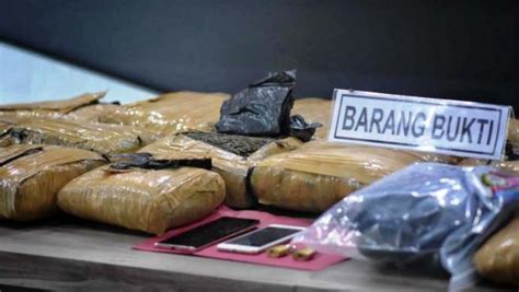 Petugas Gagalkan Upaya Penyelundupan Kilogram Ganja Dari Sumut Ke