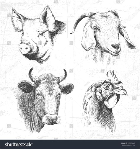 Farm Animals Vintage Set Vector See Stock Vector (Royalty Free ...