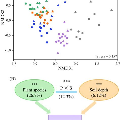 Pearson Correlation Analysis Of The Relative Abundances Of Main Fungal