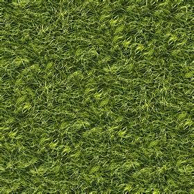 Green grass texture seamless 13047