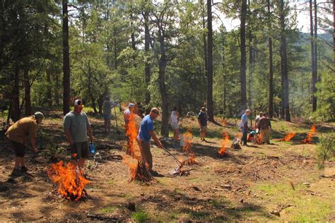 Best Outdoor Survival Schools Learn Skills For Any Scenario Gearjunkie