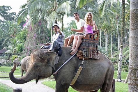 Bali Elephant Ride Tour – Bali Activities Deals | THE BEST Things to do ...