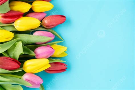 Pink And Violet Tulips Flowers Border Over Plain Aqua Blue Background With Copy Space Pink Photo