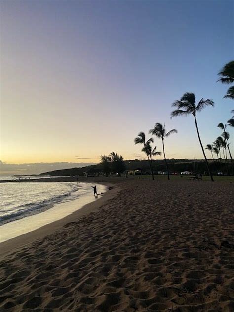 Naturreise Blog Hawaii Insel Kauai Wildkr Uterlich