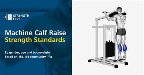 Standing Vs Seated Calf Raises Which Is Best Inspire Us