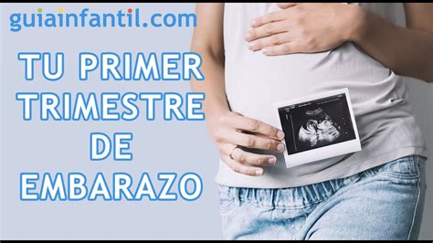 El Primer Trimestre Del Embarazo 🤰 Desarrollo Del Bebé Y Cambios En La