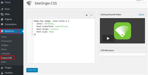 Aprenda Como Adicionar Css Personalizado No Wordpress