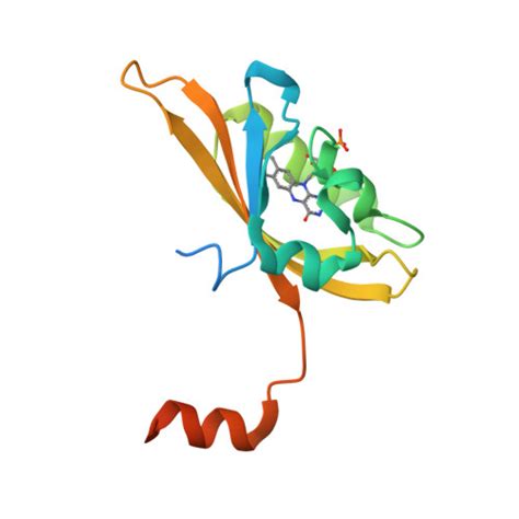 RCSB PDB - 8IYN: Crystal structure of LOV1 D33N mutant of phototropin ...