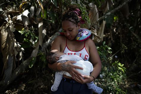 Cruce Récord De Niños Por La Selva De Darién En 2023 Ya Supera Todo