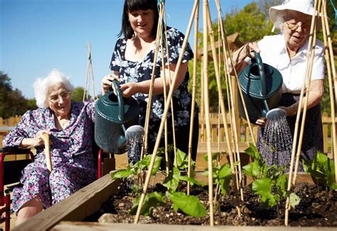 Birch Hill Care Home Berwick Upon Tweed Lottie