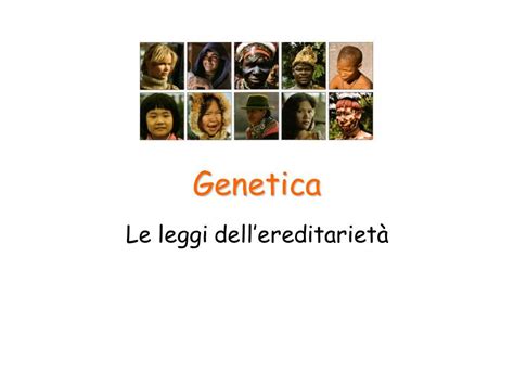 Genetica Le Leggi Dellereditariet Geni E Alleli Le Particelle