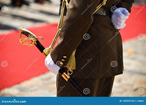 Guard of Honor during a Military Ceremony Stock Photo - Image of parade, people: 102925720