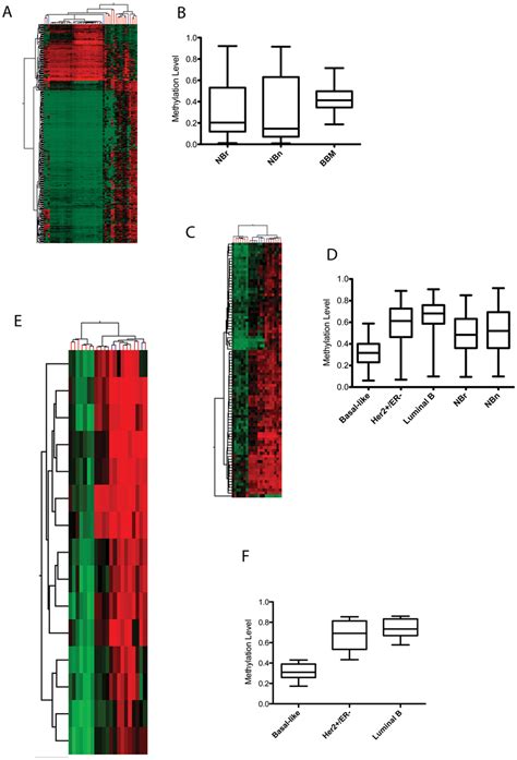 Differential Methylation Analysis In Breast Brain Metastases A