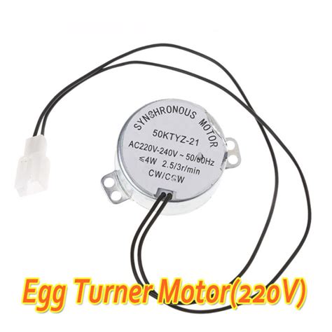 220v Egg Turner Motor 4w Synchronous Motor For Incubator Lazada Ph