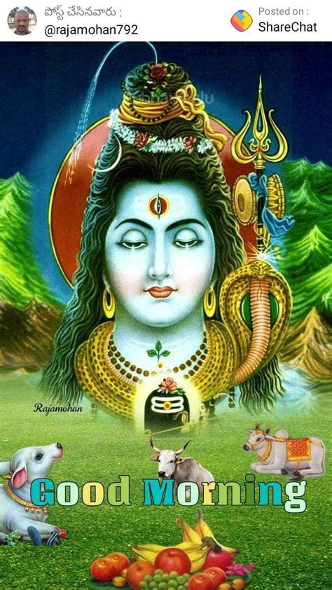 Top Good Morning Images Of Lord Shiva Amazing Collection Good