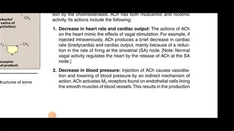 Pharmacology Lec 2 Of Cholinergic Agonist YouTube