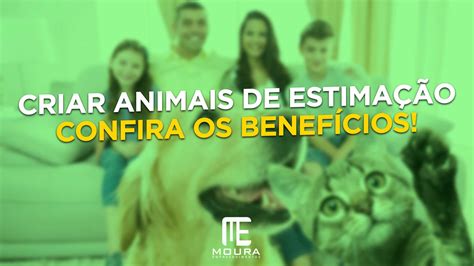 Como Os Indígenas Chamam Os Animais De Estimação - Criar animais de estimação, confira os benefícios!