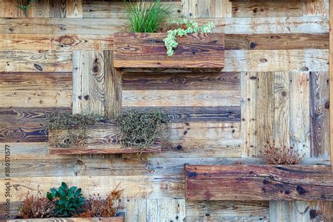 Rustic wood planks wall with Green grass and plant decoration. old ...