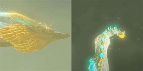 Zelda Dragon Dragon Locations And Paths In Zelda: TOTK | Polygon
