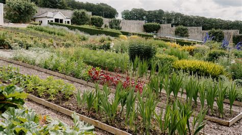 Douneside House Ein Luxushotel Im Herzen Von Royal Deeside Der