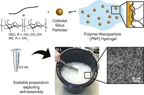 Scalable Manufacturing Of Biomimetic Moldable Hydrogels For Industrial