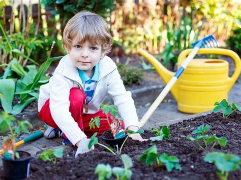 12 Actividades Geniales Para Fomentar El Cuidado Del Medio Ambiente En