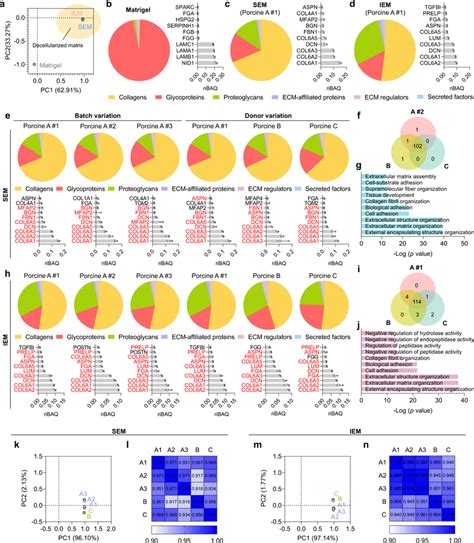 Proteomic Analysis Of Gi Tissue Derived Ecm Hydrogels A Principal