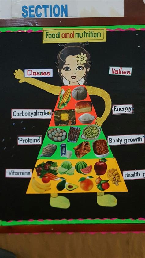 grade  food chart  kids nutrition chart balanced diet