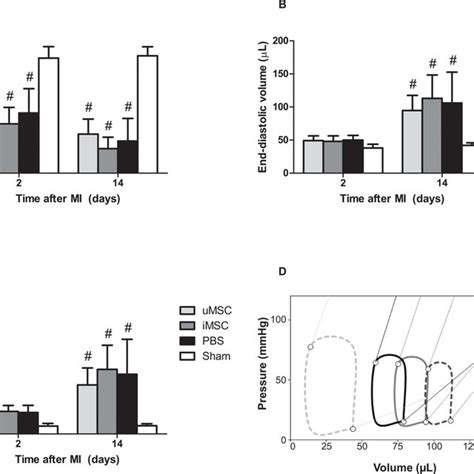 Stimulation Of Mscs With The Pro Inflammatory Cytokine Interferon Gamma Download Scientific