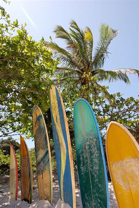 Innovator David Sweet Leaves Behind Surfboard Legacy Incredible
