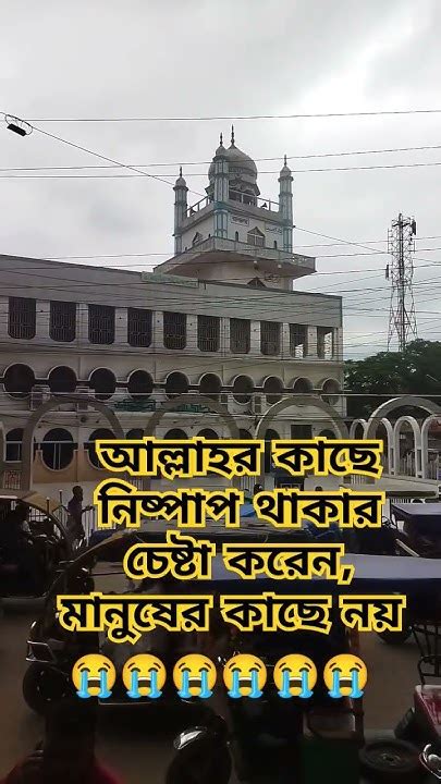 আল্লাহর কাছে নিষ্পাপ থাকার চেষ্টা করেন মানুষের কাছে নয় Foryou