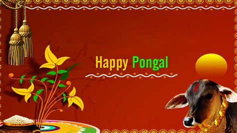 Details Pongal Background Hd Abzlocal Mx