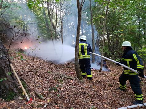 Waldbrand auf ca 200 qm Fläche Wir sind St Ingbert