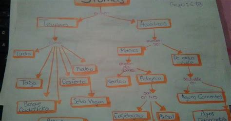 Cuaderno De Biolog A Iv De Lizbeth Serrano Anaya Grupo Mapa