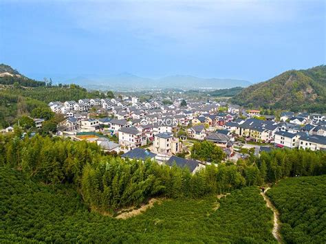 探寻杭州人的生活美学，畅享径山自然风光与茶文化之旅径山径山镇径山茶新浪新闻