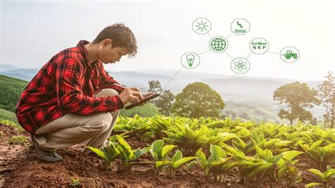 Innovación En Agricultura Sostenible 2024 Tecnologías Y Retos Actuales