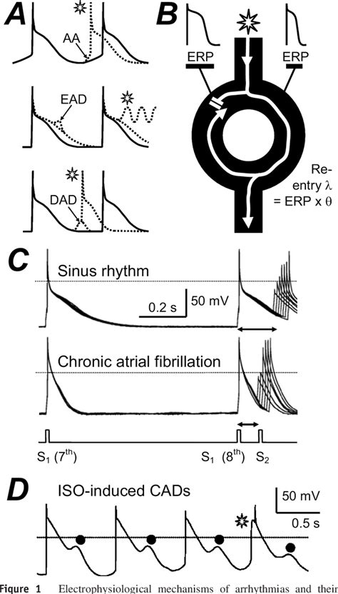 Figure From Strathprints Institutional Repository Semantic Scholar