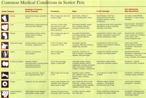 Medical Conditions List 2 In Annex 2 Comprises A Long-list Of Medical Conditions That Are | Venzero