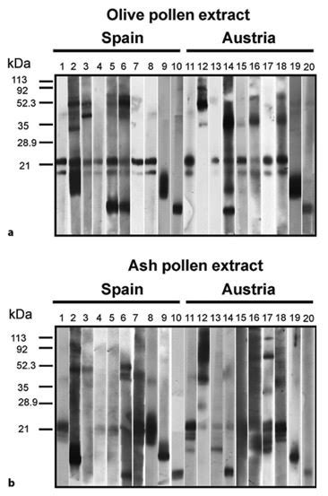 Ige Reactivity Of Sera From Spanish Lanes 110 And Austrian Patients