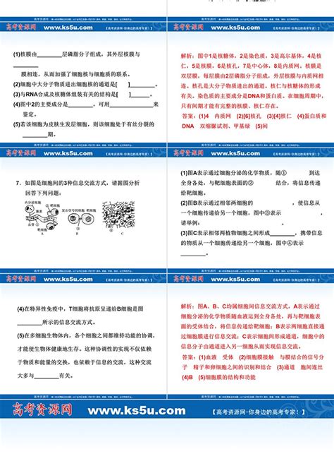 2011年高考生物一轮复习同步课件必修1：第三章 第1、3节 细胞膜——系统的边界 细胞核——系统的控制中心ppt 卡卡办公