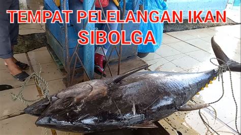 Tempat Pelelangan Ikan Sibolga Youtube