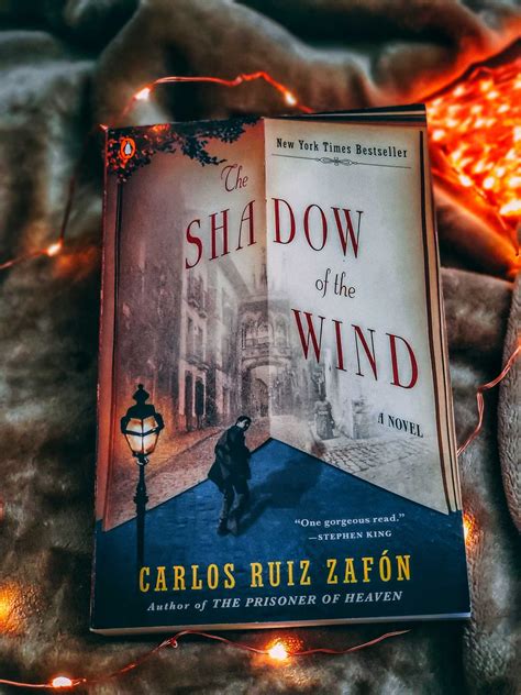 The Shadow Of The Wind By Carlos Ruiz Zaf N Savor Your Reads