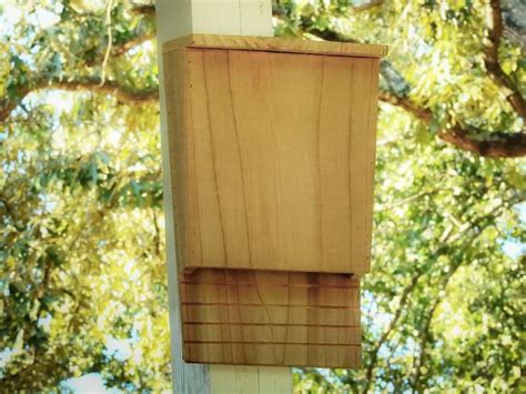 Bat House Bat Box Natural Mosquito Trap Mosquito Control - Etsy