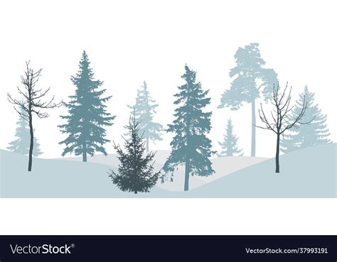 Winter forest silhouette bare tree spruce pine Vector Image