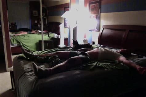 Bouncing Cock Gay Porn Xhamster