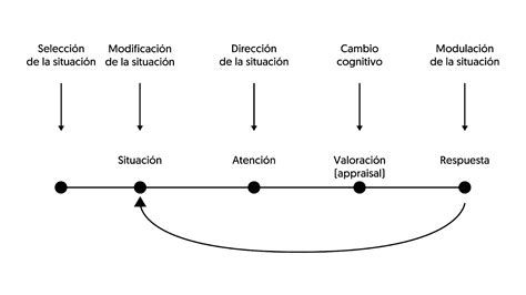 James Gross Y Su Modelo De Regulaci N Emocional Neuroclass